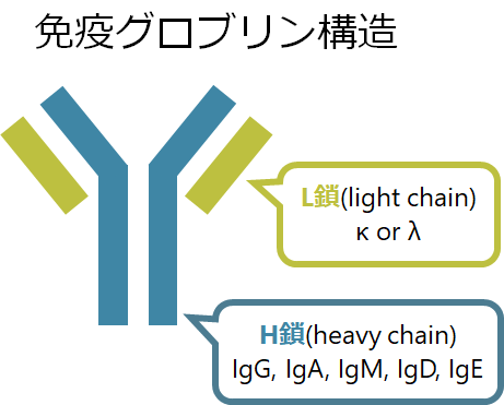 日本がん対策図鑑 | 【多発性骨髄腫：四次治療（27ヵ月OS）】カービクティ