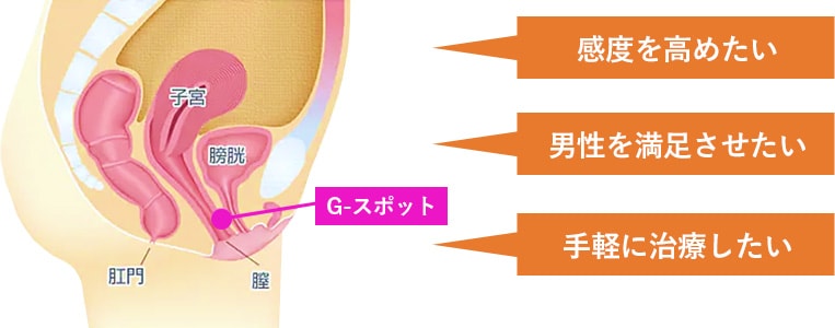 男のGスポット射精で女性の膣イキ体験！快感は普段の100倍？-新着情報-変態紳士倶楽部福岡店(博多・中州/デリヘル) | アサ芸風俗