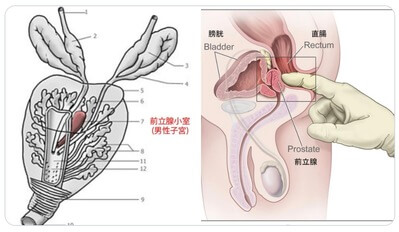 アナルセックスって本当に気持ちいい？正しいやり方と注意点｜Cheeek [チーク]