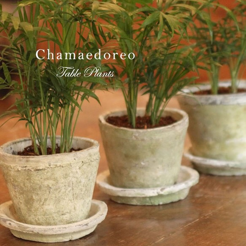 人工観葉植物フェイクグリーン ヤシの木 造花 観葉樹 鉢植え お手入れ簡単 水やり不要 虫害心配なし シンプル おしゃれ 室内 ホームの装飾 リビング玄関 開店 新築 引越し 祝い ギフト 贈り物 インテリア飾り 開運 風水 人工観葉樹 観覧植物 gratiahome