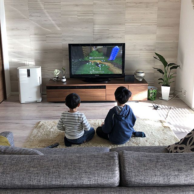 はじめてフェイクグリーンを飾る方へ！テレビ横がオススメです！コラムプレミアム光触媒フェイクグリーン 造花ドットコムzouka.com