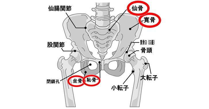 ひざの痛みの治療・整体 扁平足を治すことで膝の痛みを劇的に改善！ | 