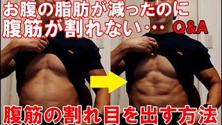 筋肉系YouTuberに聞く！ やっぱりあった方がいい？ トレーニングギア「三種の神器」