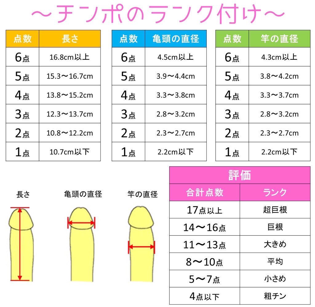 ペニスの大きさ平均は13cm！女性の理想サイズはさらにデカい！？｜薬の通販オンライン