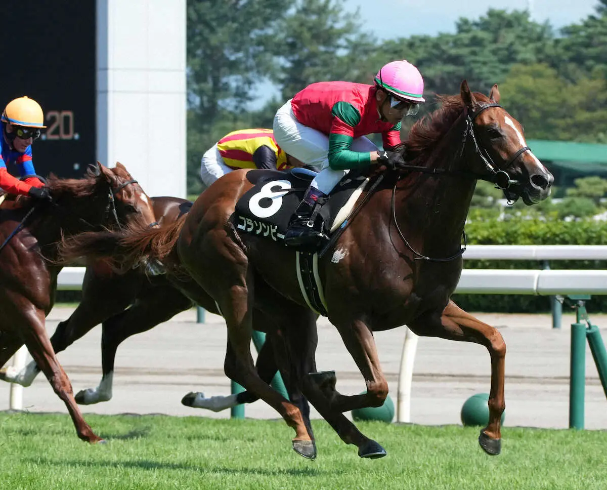 巻き返しが濃厚?あやめ賞 | 競馬コラム