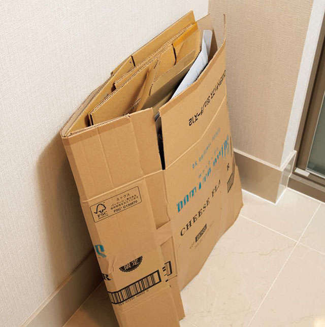 ダンボールはシロアリのエサになる！部屋の中への侵入経路や発見したときの対策を解説シロアリの雨宮のコラム