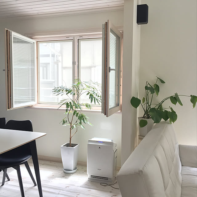 白い部屋 観葉植物のある暮らしのおすすめ商品とおしゃれな実例RoomClip ルームクリップ