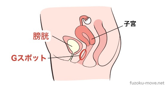 おしっこ我してオナニーしてたら、イクと同時に放尿もしてダブルで気持ち良い - 3Os（おしっこ・おもらし・オナニー）ブログ