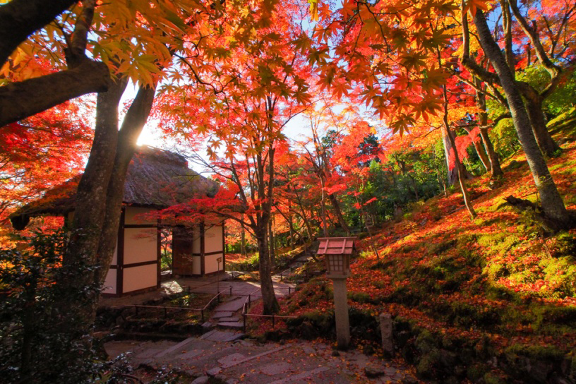 京歩きの達人がこっそり教えます】世界遺産の穴場スポットで今年最後の「紅葉」を！ | らくたびと歩く京都 |