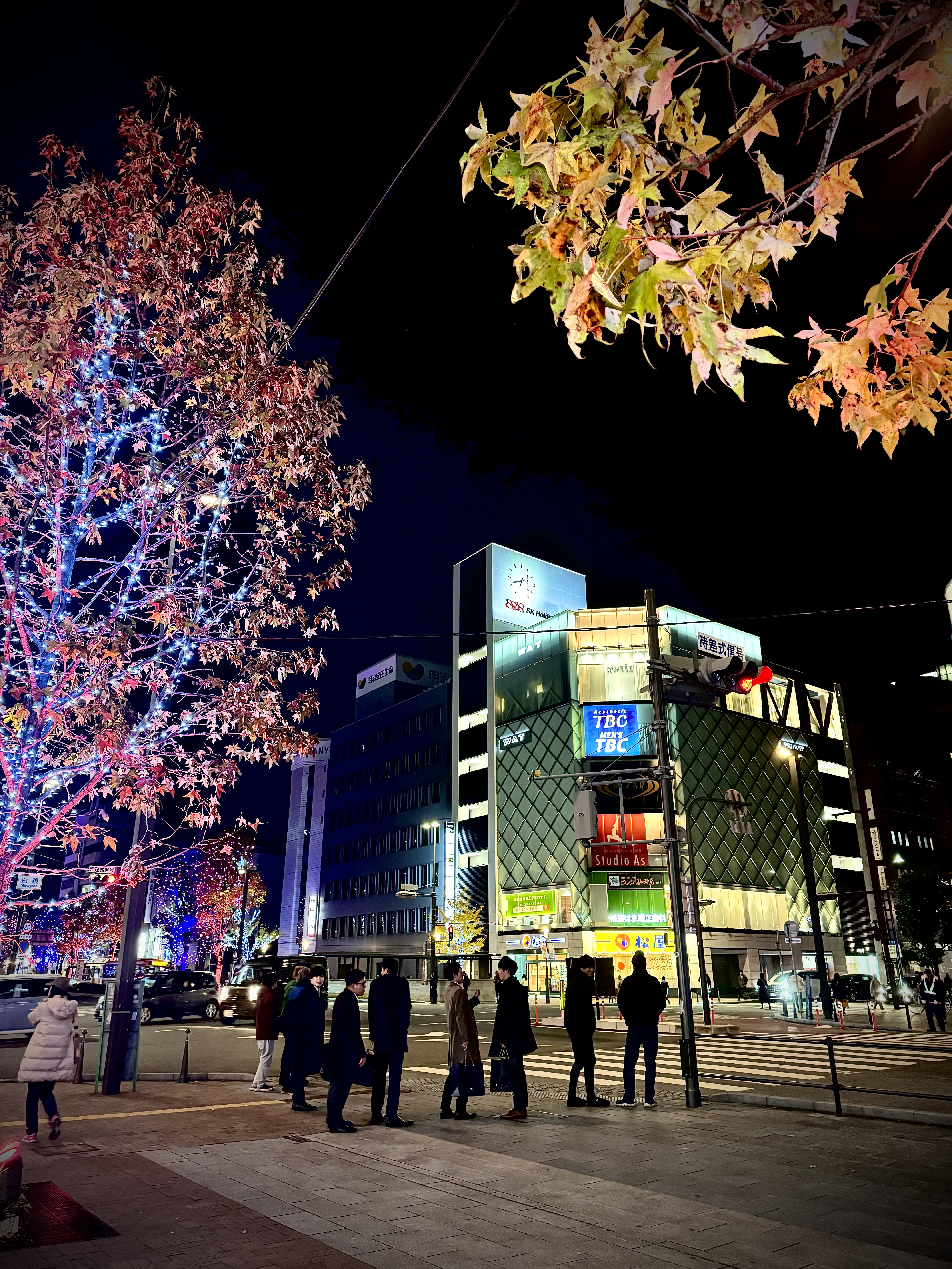 エステティシャン】エステティックTBC の求人・募集情報（大阪市北区,大阪市都島区,大阪市中央区,大阪市阿倍野区,高槻市,枚方市,岸和田市,堺市堺区,豊中市,神戸市中央区,西宮市,川西市,明石市,加古川市, 姫路市,京都市下京区,京都市中京区,京都市南区,草津市,奈良市,橿原市 