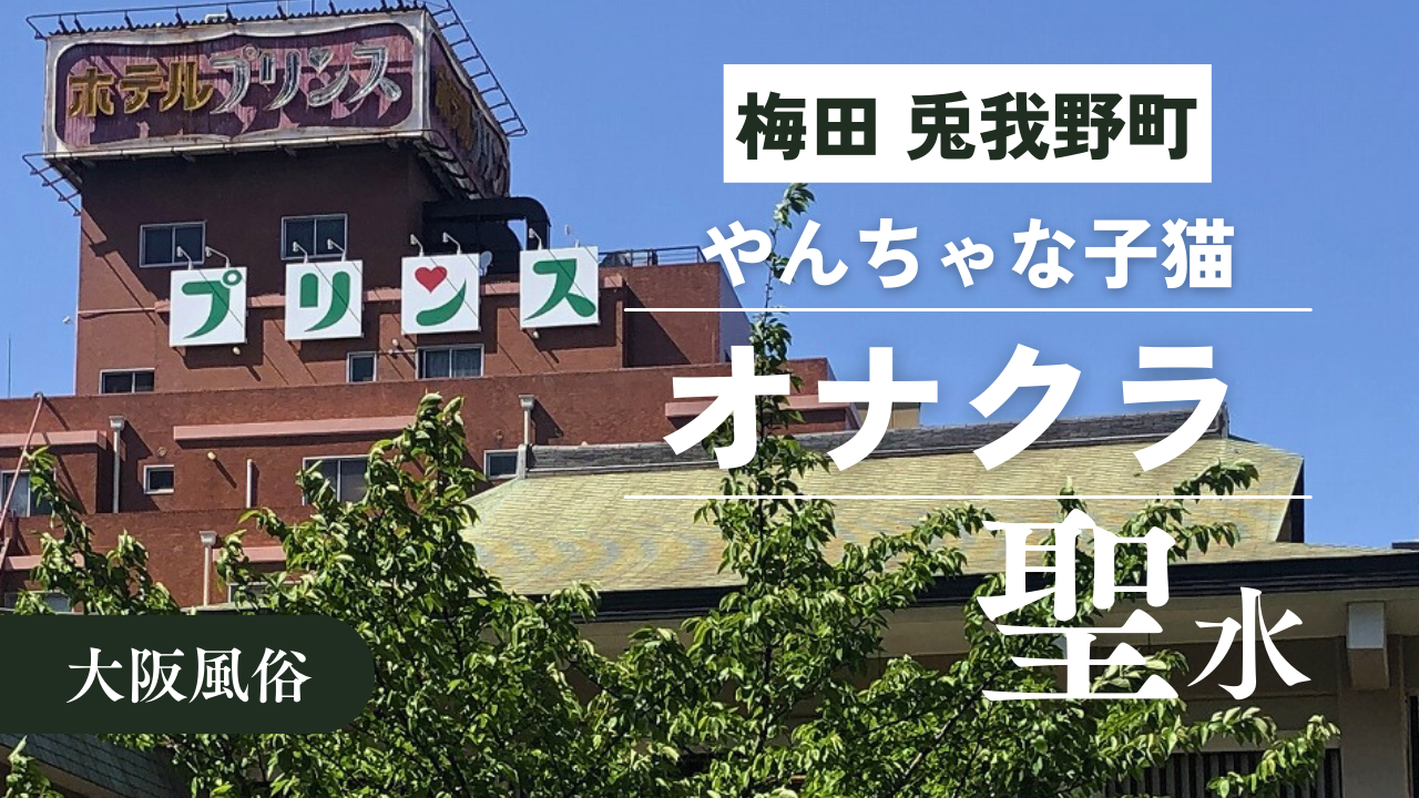 大阪キタ】大阪の風俗色街「兎我野町」散歩からの～街呑み♡ | ちょい悪オヤジの戯言