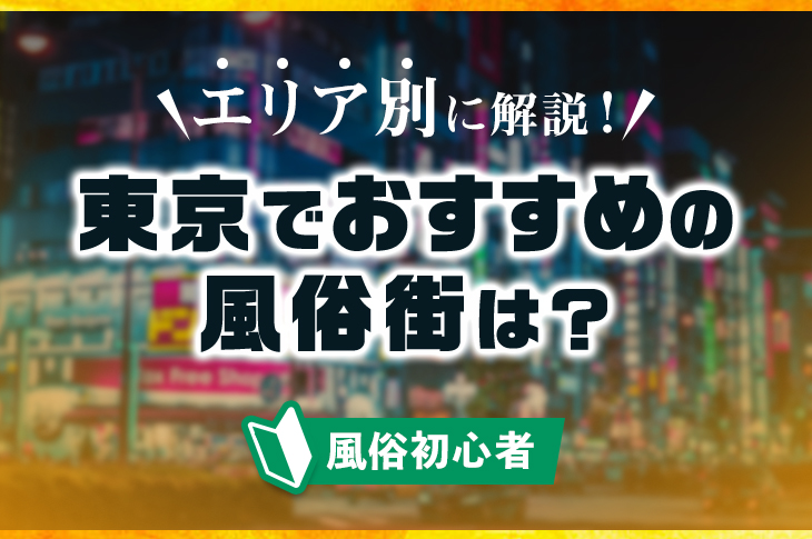 シティヘブンネット首都圏版 デリヘル東京 | 風俗デザインプロジェクト-広告代理店の制作物・商品紹介