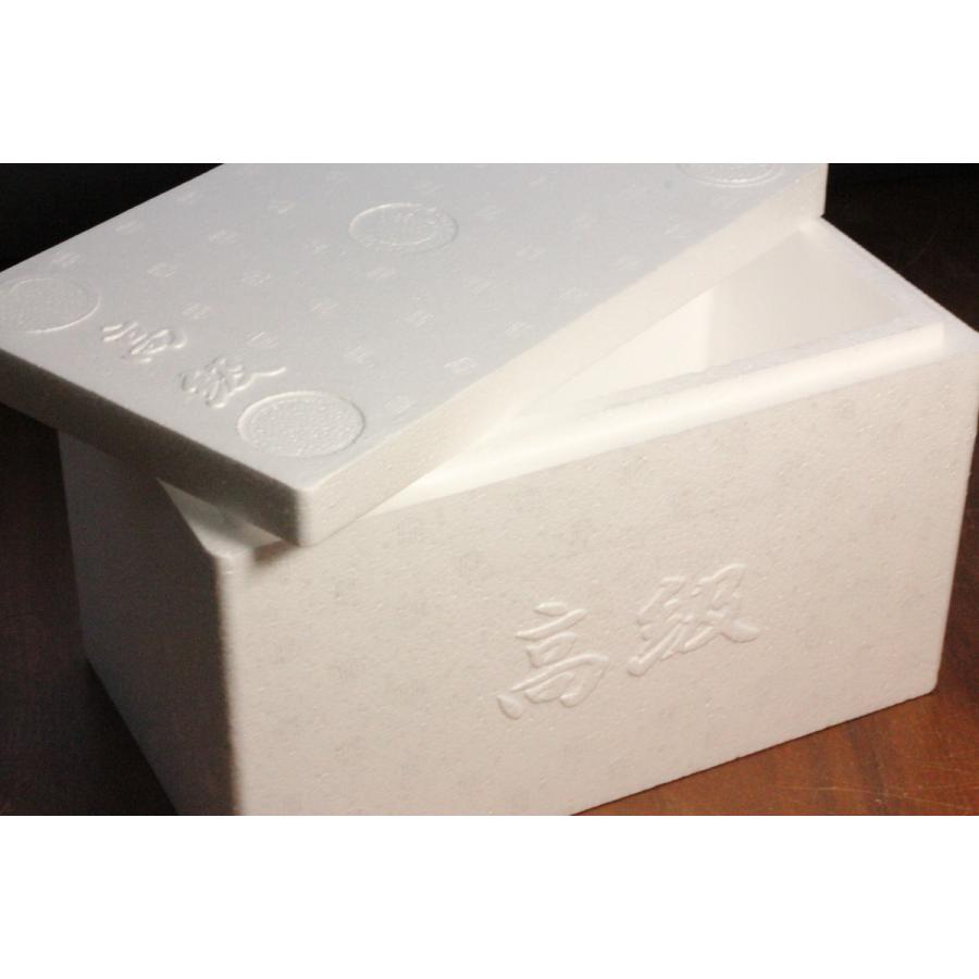 生体梱包資材 発泡スチロール箱 ＨＮ２３２×Ｈ 幅４６×奥行３３×高さ３４ｃｍフタ付き 201993 1個 直送品- アスクル