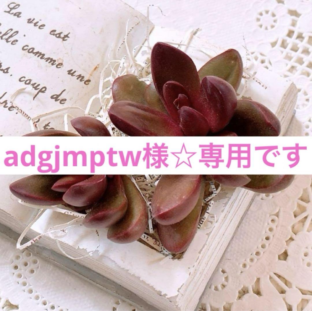 中古】adgjmptw様 確認 -