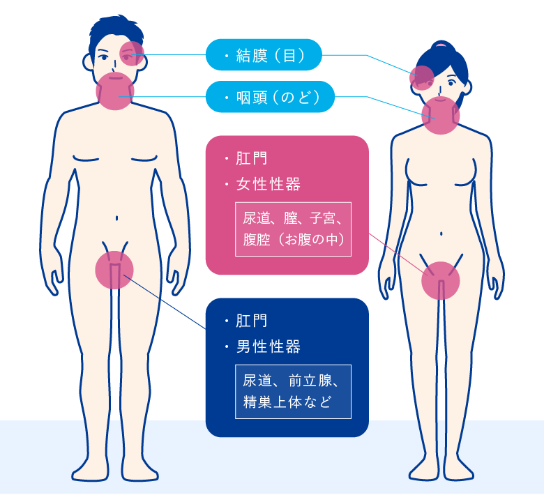 アナルファック（AF）とはどんなプレイ？やり方や注意点・必要な準備を詳細解説｜風じゃマガジン