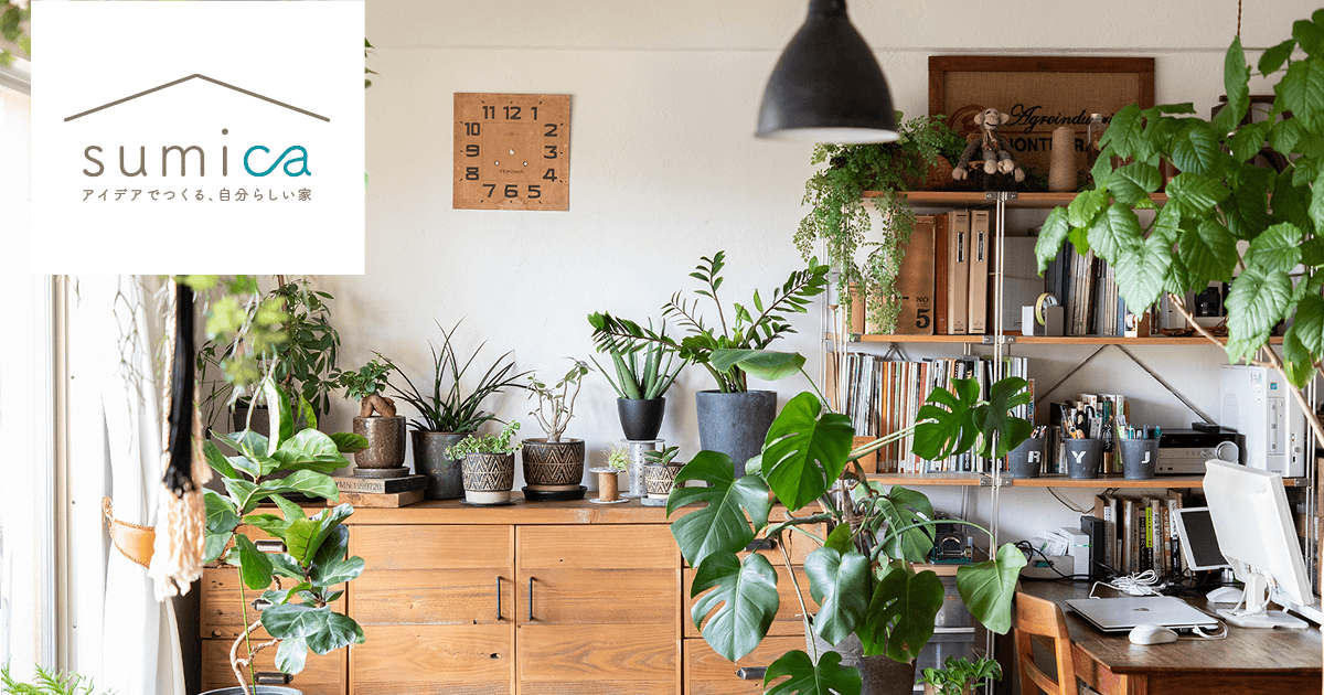 観葉植物の取り入れ方にはコツがあった！部屋がおしゃれに＆元気と明るさをプラス公式 大人のおしゃれ手帖web
