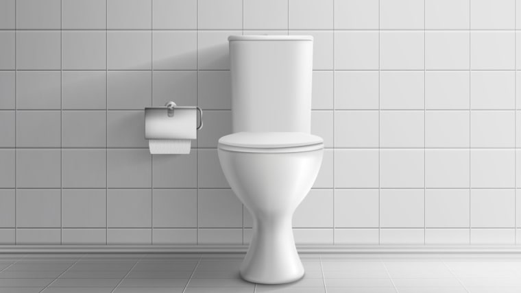 金運アップ！ 風水において良いトイレとは？方角・色・小物別に紹介！michill byGMO ミチル