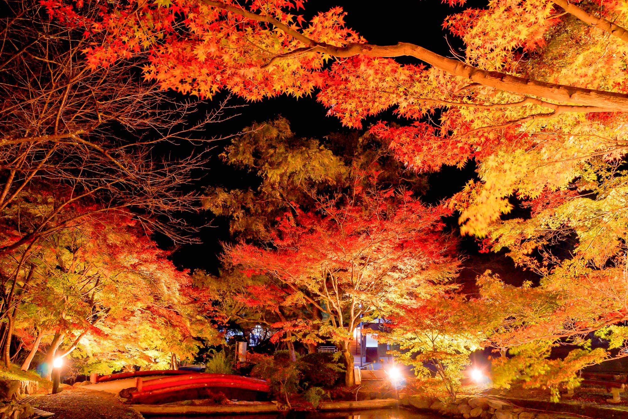 千葉】紅葉時期や穴場スポットを紹介！とっておきの場所で秋を存分に楽しむ