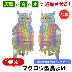 ベランダの鳩よけ 今すぐできる！プロ推奨の5つの対策方法 – マルトヨコーポレーション