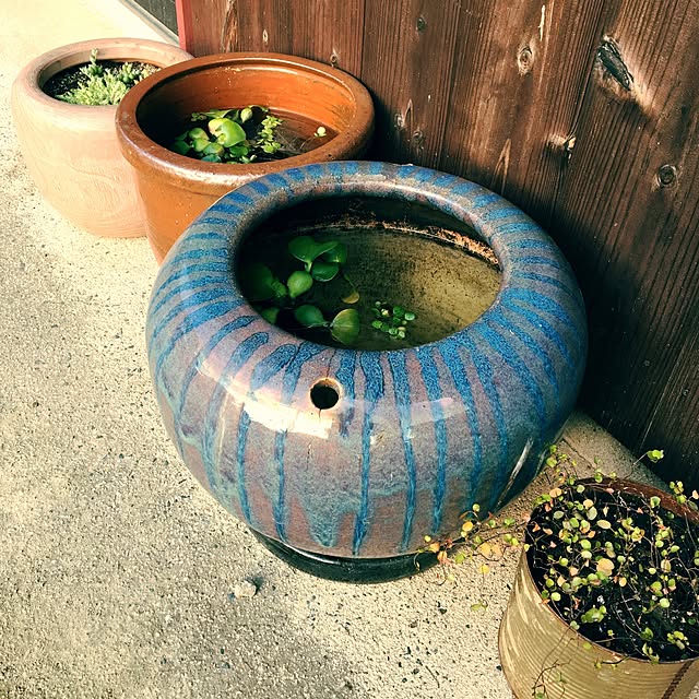 玄関 入り口 壺のおしゃれなアレンジ・飾り方のインテリア実例RoomClip ルームクリップ