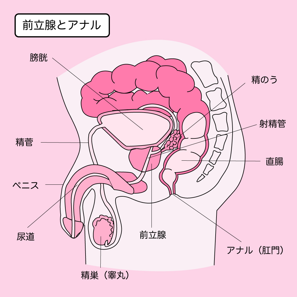 アナル好きの彼氏にアナルがボロボロになるまで開発された