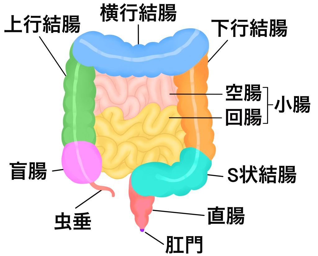 Amazon | 史上最長