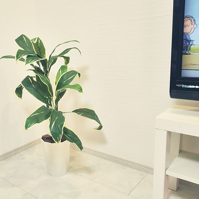 観葉植物 テレビボードのおすすめ商品とおしゃれな実例RoomClip ルームクリップ