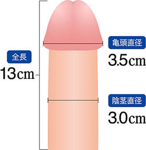 包茎 | 診療案内