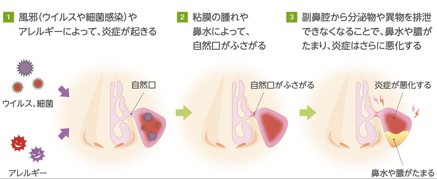 父の日にマッサージのプレゼントはいかがですか？◎ | ブログ |