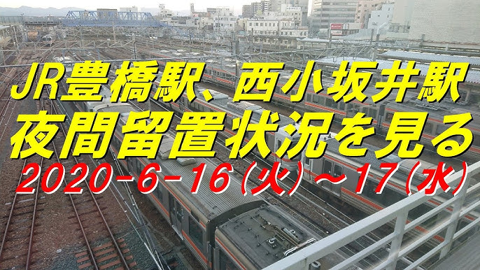 名古屋猫カフェ「ねこまんま｣・癒しの妖精達』愛知県の旅行記・ブログ by amanojakuさん【フォートラベル】