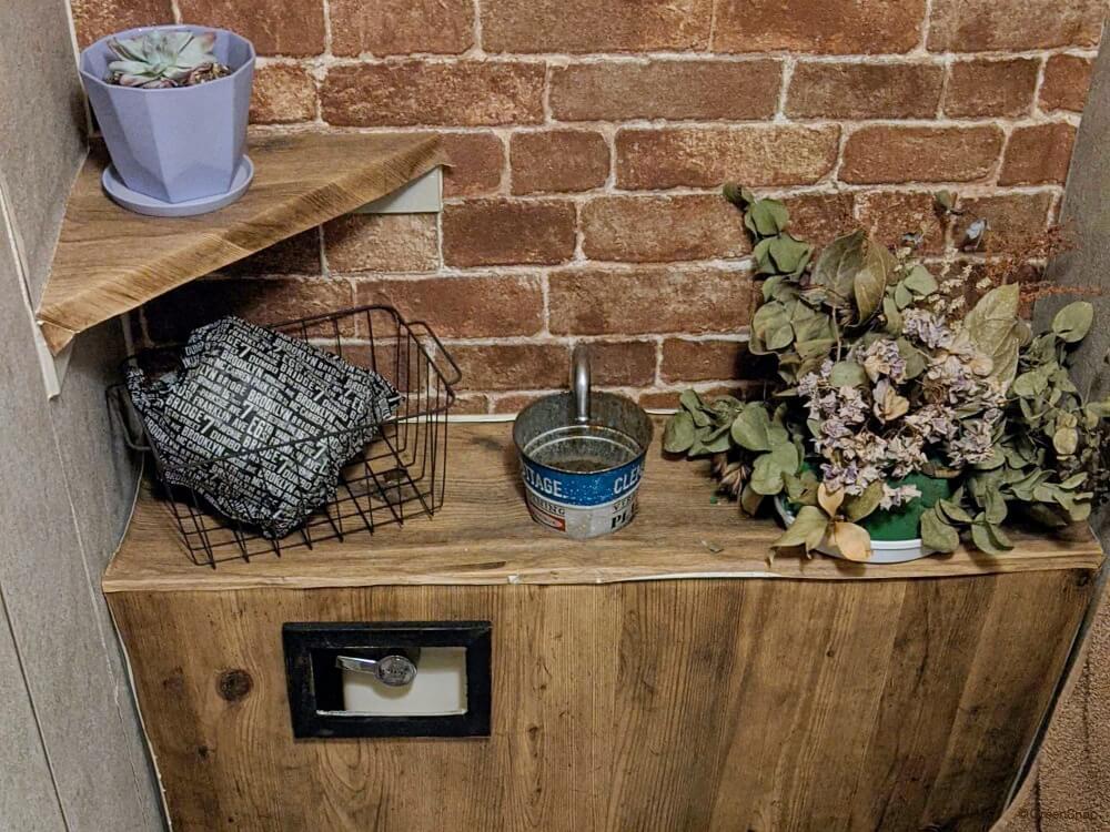 トイレ向きの観葉植物のおすすめ人気ランキング 2025年10月マイベスト