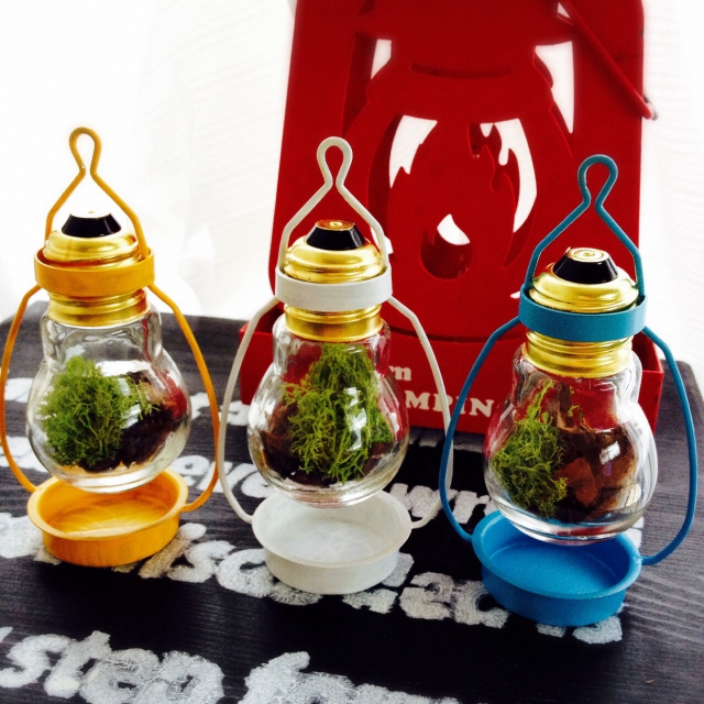 初心者でもOK！100均グッズで作るあなただけのテラリウム RoomClip mag