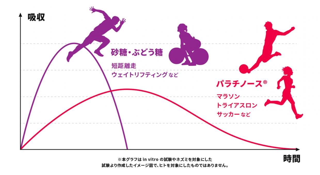 パラチノース ピュアパラ1kg スポーツドリンク 粉末