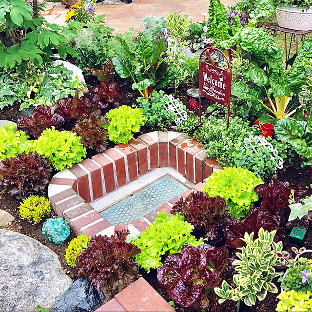 ポタジェガーデンの ビフォー アフタ－♪ポタジェ＆ローズ - 楽天ブログ