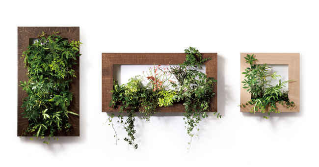 100均 DAISOのフェイクグリーンでグリーンウォールDIYよろづやRanはアウトドアがお好き