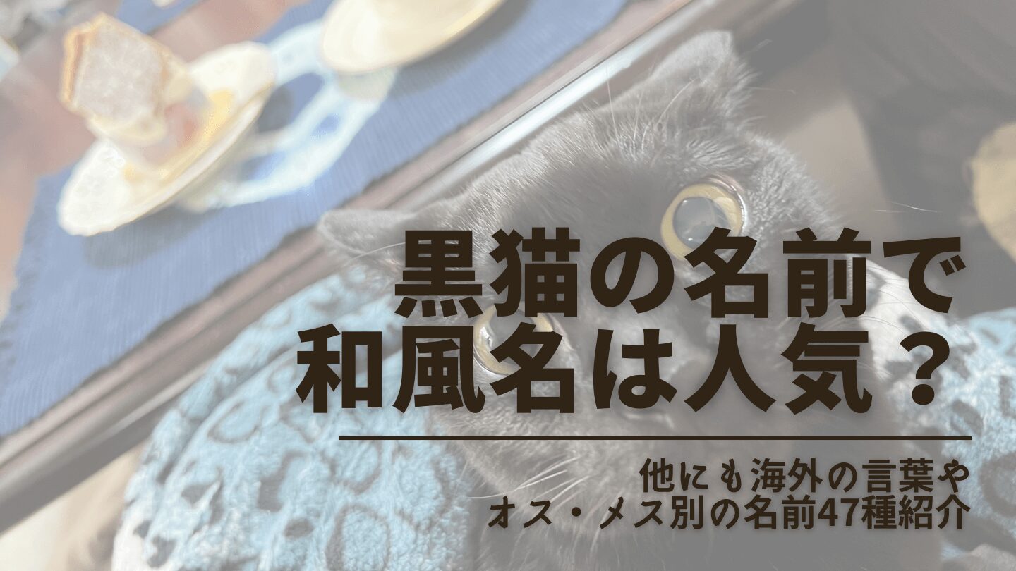 名前旗 桜春 おしゃれモダンコンパクト今どき和モダンスタイリッシュSUZUTAME ONLINESHOP vogue