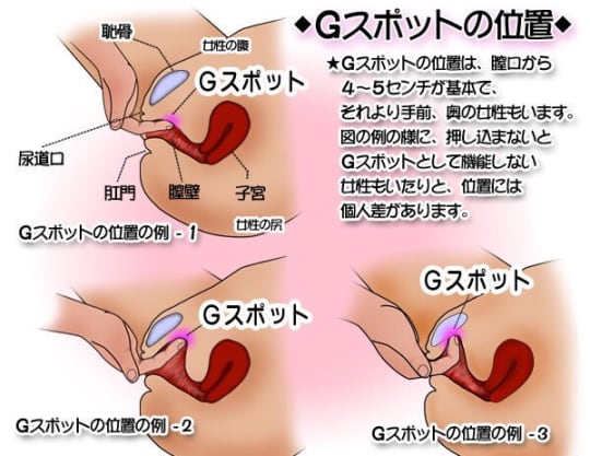 中イキってどんな感覚？開発方法・コツ・できない原因を産婦人科専門医が徹底解説！ | 腟ペディア（チツペディア）