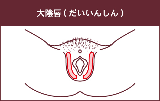 気持ちいいクンニとは？私たちが求めるクンニはコレ! messy - 気持ち の