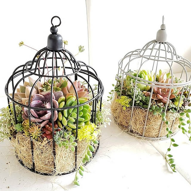 鳥かごアレンジ フライングリース インテリア・生活道具