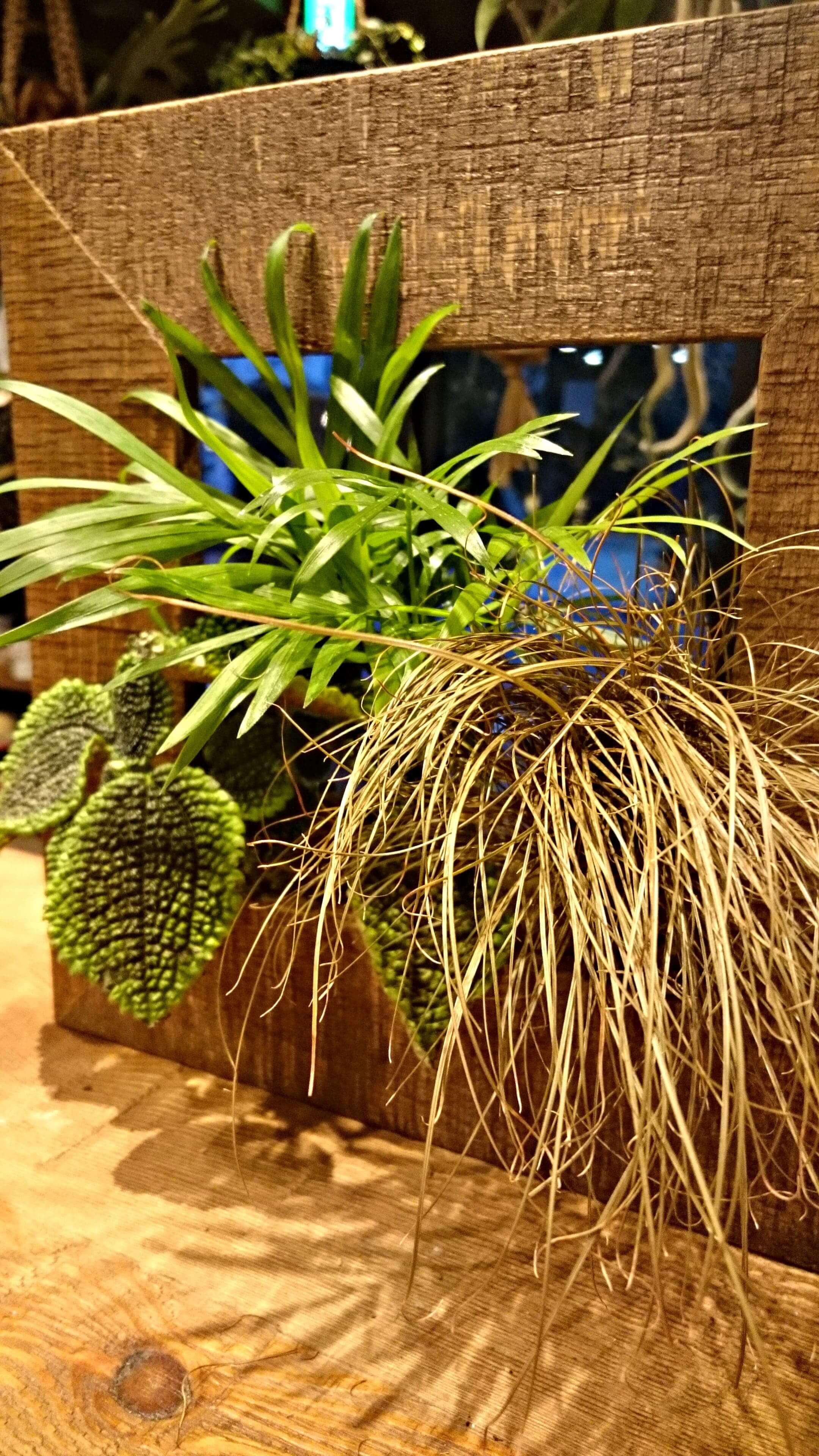 カレックスのおすすめ商品とおしゃれな実例RoomClip ルームクリップ