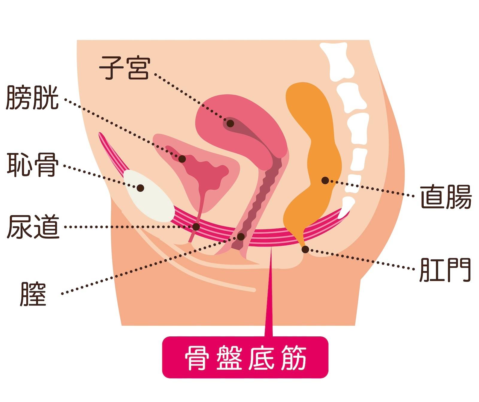 噂のポリネシアンセックスとは？5日間に渡るやり方やその魅力を解説！【快感スタイル】