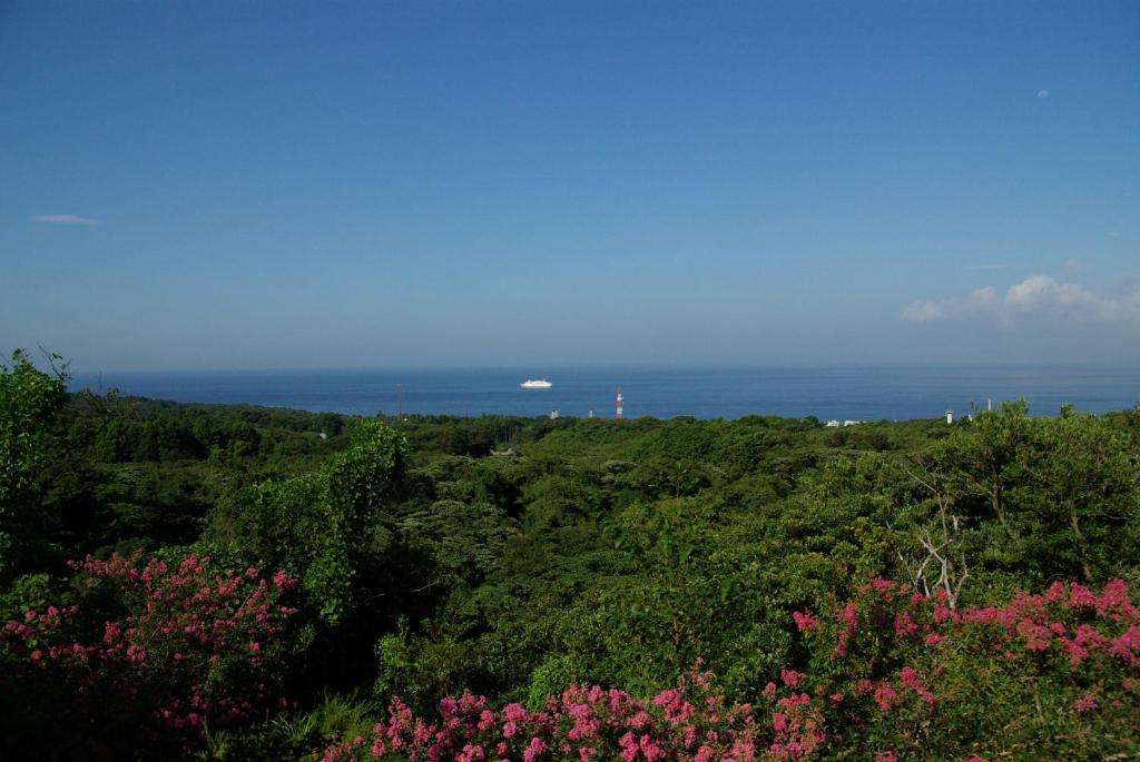 伊豆大島 ホテル＆リゾート マシオ ＜大島＞の施設情報【HIS旅プロ｜国内旅行ホテル最安値予約】