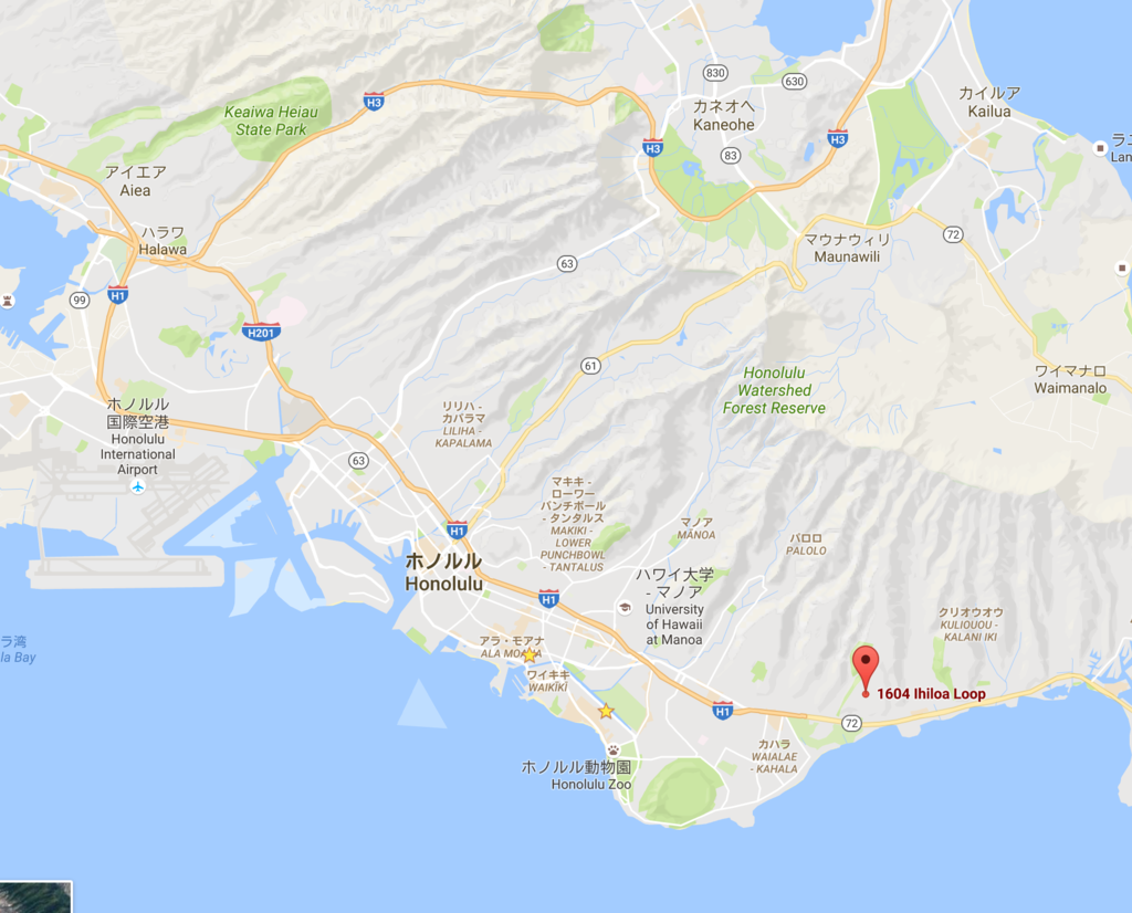 築67年のテラスハウスをパリ風に甦らせた花のある家辰巳琢郎の家物語 リモデル☆きらりBS朝日