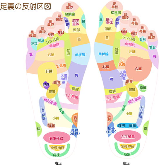 五反田】ナチュラ/東南アジアの裏路地感たっぷりな台湾式マッサージ店 | FAN FUN FILE