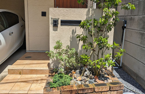 ♡ sunday code𓂃玄関前玄関前ガーデニング玄関前アプローチ庭づくりお庭ユーカリユーカリグニーシンボルツリー愛すべき日常を写真で残そうママコーデママファッションコーデcodeootdoutfitfashioncodenateちゅーみコーデ