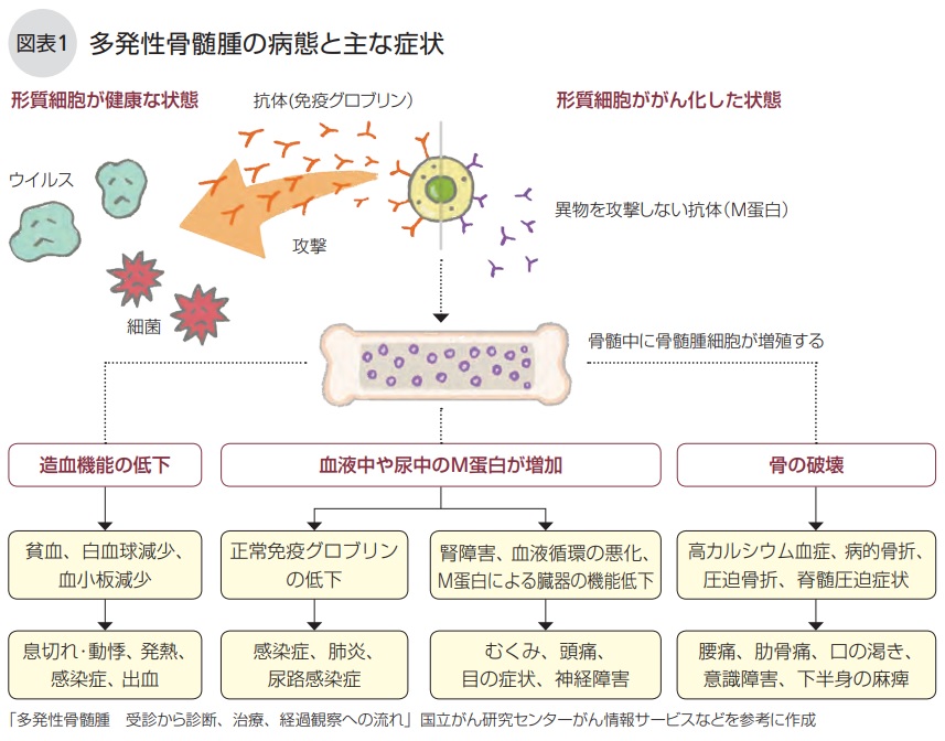 うちの子は多発性骨髄腫 | 千代エル乙女の日常日記&アグリドッグレスキュー