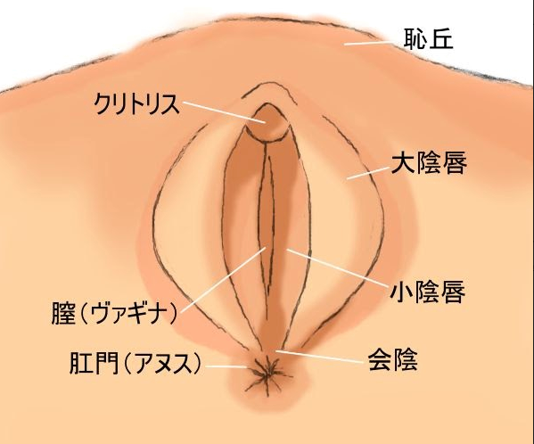 女性のオーガズムとは？ 種類・セックスでイク方法 |