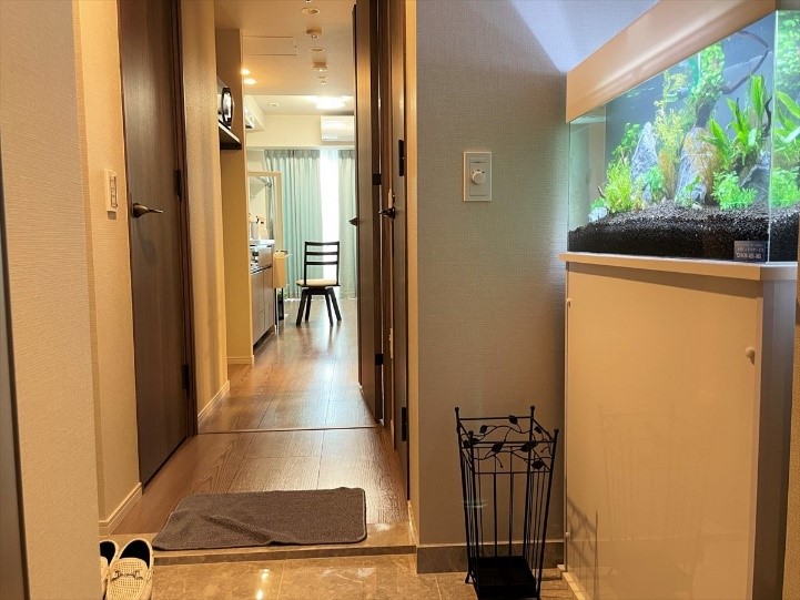 おしゃれな水槽 メダカ、金魚用 玄関やリビング向けのインテリア水槽のおすすめランキングわたしと、暮らし