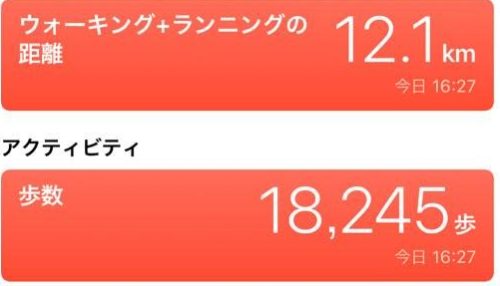 １日２万歩は歩きすぎ？消費カロリーは？距離は何キロ？検証してみた