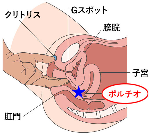 きりにゃん】子宮トントン！体外式ポルチオ開発マッサージで中イキやすい身体に調教します。